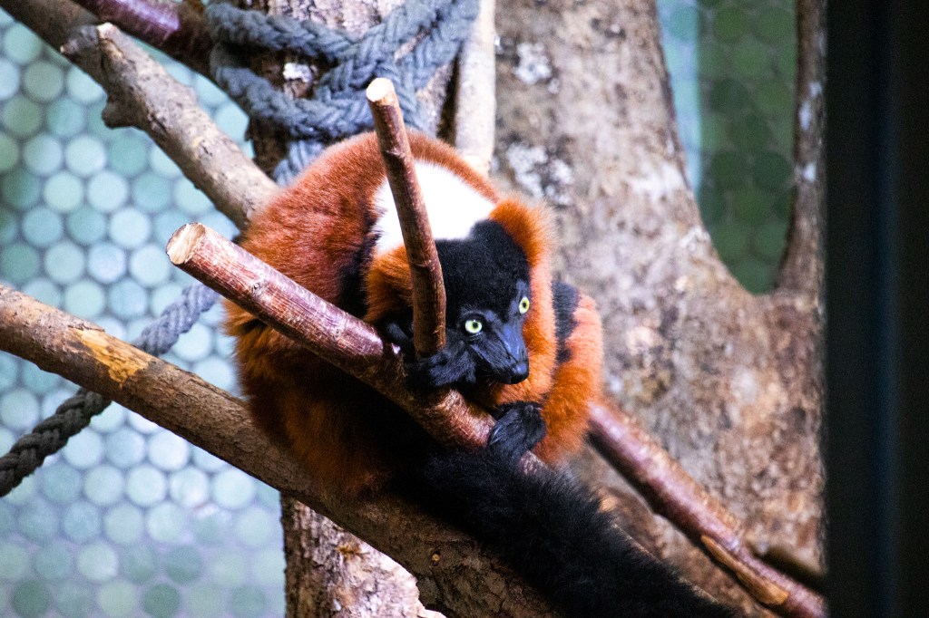 Tierpark, Munich, December&nbsp;2022